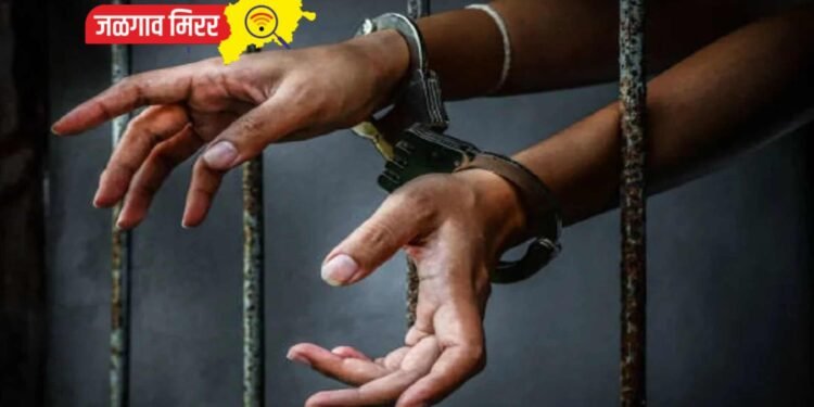 महामार्गावर ट्रक चालकाला लुटले : पोलिसांनी चौघांना ठोकल्या बेड्या !