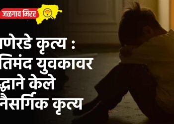 घाणेरडे कृत्य : मतिमंद युवकावर वृद्धाने केले अनैसर्गिक कृत्य