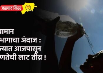 हवामान विभागाचा अंदाज : राज्यात आजपासून उष्णतेची लाट तीव्र !