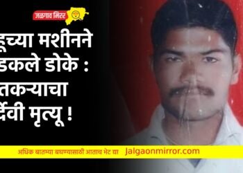 गहूच्या मशीनने अडकले डोके : शेतकऱ्याचे दुर्देवी मृत्यू !