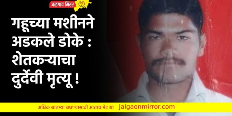 गहूच्या मशीनने अडकले डोके : शेतकऱ्याचे दुर्देवी मृत्यू !