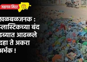 खळबळजनक : प्लास्टिकच्या बंद डब्यात आढळले दहा ते अकरा अर्भक !