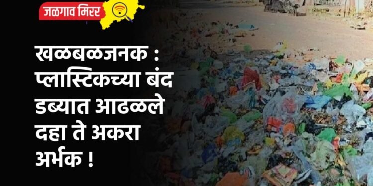 खळबळजनक : प्लास्टिकच्या बंद डब्यात आढळले दहा ते अकरा अर्भक !