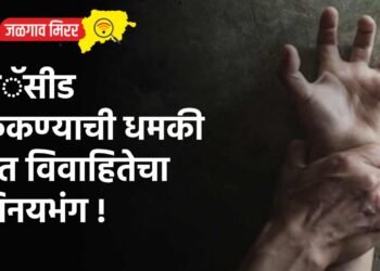 अॅसीड फेकण्याची धमकी देत विवाहितेचा विनयभंग !