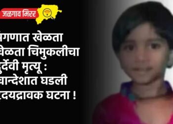 अंगणात खेळता खेळता चिमुकलीचा दुर्देवी मृत्यू : खान्देशात घडली हृदयद्रावक घटना !