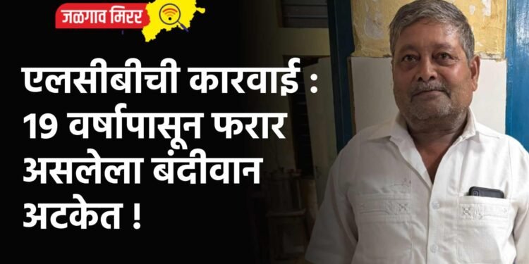 एलसीबीची कारवाई : १९ वर्षापासून फरार असलेला बंदीवान अटकेत !