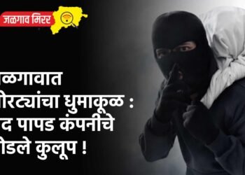 जळगावात चोरट्यांचा धुमाकूळ : बंद पापड कंपनीचे तोडले कुलूप !
