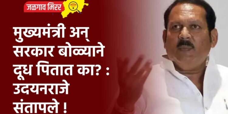 मुख्यमंत्री अन् सरकार बोळ्याने दूध पितात का? : उदयनराजे संतापले !