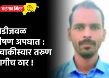 खेडीजवळ भीषण अपघात : दुचाकीस्वार तरुण जागीच ठार !