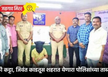 गावठी कट्टा, जिवंत काडतूस शहरात येणारा पोलिसांच्या ताब्यात !