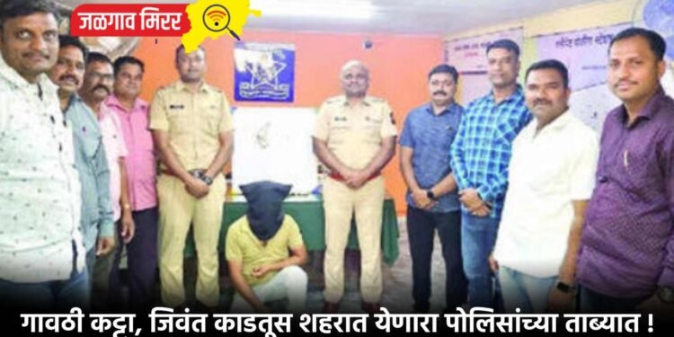 गावठी कट्टा, जिवंत काडतूस शहरात येणारा पोलिसांच्या ताब्यात !