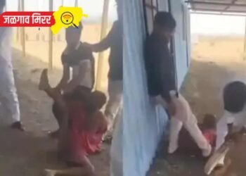 गुंडांनी केली एका व्यक्तीला बॅटने अमानुष मारहाण : व्हिडीओ व्हायरल !