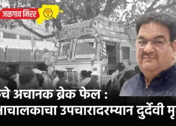 ट्रकचे अचानक ब्रेक फेल : रिक्षाचालकाचा उपचारादरम्यान दुर्देवी मृत्यू !