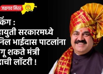 ब्रेकिंग : महायुती सरकारमध्ये अनिल भाईदास पाटलांना लागू शकते मंत्री पदाची लॉटरी !