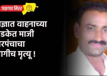 अज्ञात वाहनाच्या धडकेत माजी सरपंचाचा जागीच मृत्यू !