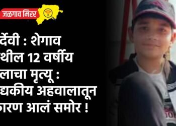 दुर्देवी : शेगाव येथील १२ वर्षीय मुलाचा मृत्यू : वैद्यकीय अहवालातून कारण आलं समोर !