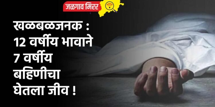खळबळजनक : १२ वर्षीय भावाने ७ वर्षीय बहिणीचा घेतला जीव !