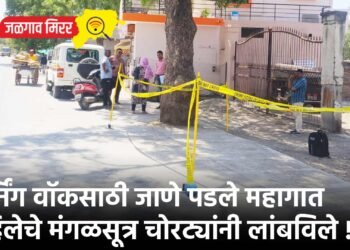 मॉर्निंग वॉकसाठी जाणे पडले महागात : महिलेचे मंगळसूत्र चोरट्यांनी लांबविले !