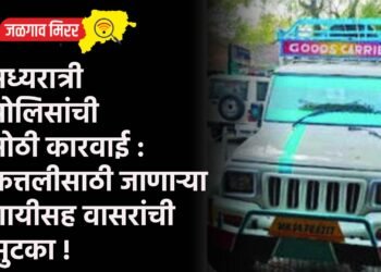 मध्यरात्री पोलिसांची मोठी कारवाई : कत्तलीसाठी जाणाऱ्या गायीसह वासरांची सुटका !
