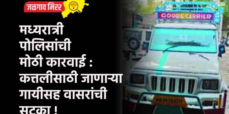 मध्यरात्री पोलिसांची मोठी कारवाई : कत्तलीसाठी जाणाऱ्या गायीसह वासरांची सुटका !