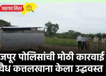 फैजपूर पोलिसांची मोठी कारवाई : अवैध कत्तलखाना केला उद्धवस्त !