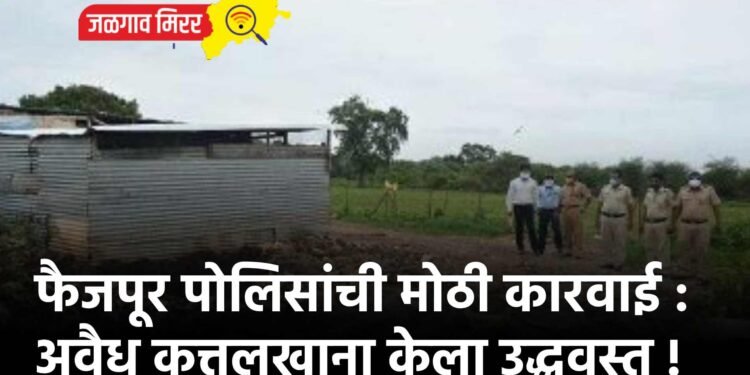 फैजपूर पोलिसांची मोठी कारवाई : अवैध कत्तलखाना केला उद्धवस्त !