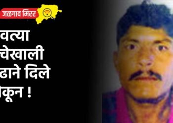 धावत्या रेल्वेखाली प्रौढाने दिले झोकून !