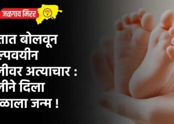 शेतात बोलवून अल्पवयीन मुलीवर अत्याचार : मुलीने दिला बाळाला जन्म !