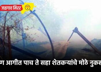 भीषण आगीत पाच ते सहा शेतकऱ्यांचे मोठे नुकसान !