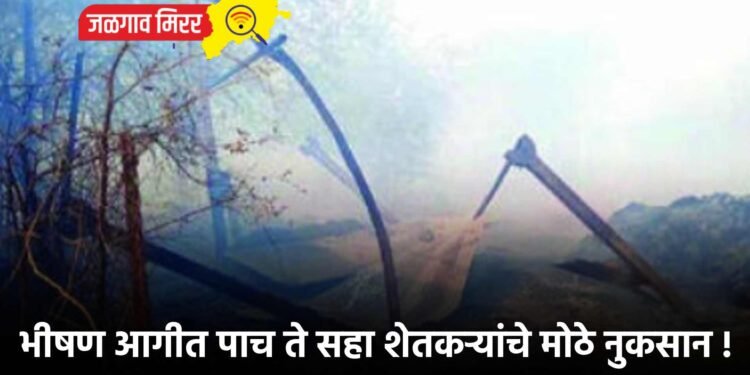 भीषण आगीत पाच ते सहा शेतकऱ्यांचे मोठे नुकसान !