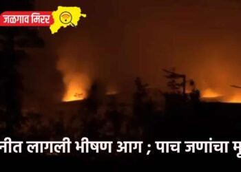 कंपनीत लागली भीषण आग ; पाच जणांचा मृत्यू !