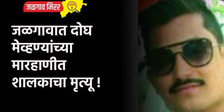 जळगावात दोघ मेव्हण्यांच्या मारहाणीत शालकाचा मृत्यू !