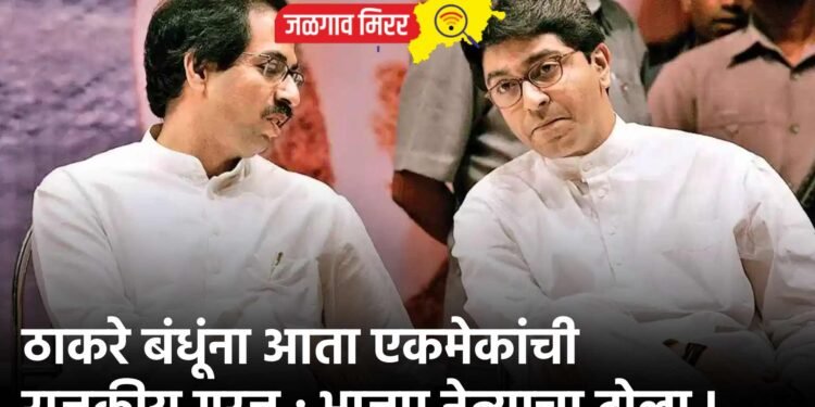 ठाकरे बंधूंना आता एकमेकांची राजकीय गरज ; भाजप नेत्याचा टोला !