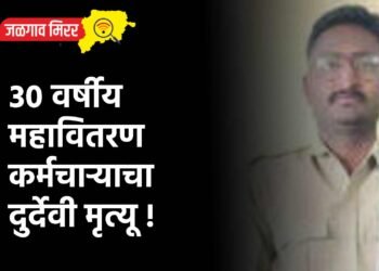 ३० वर्षीय महावितरण कर्मचाऱ्याचा दुर्देवी मृत्यू !