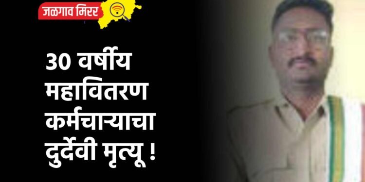 ३० वर्षीय महावितरण कर्मचाऱ्याचा दुर्देवी मृत्यू !