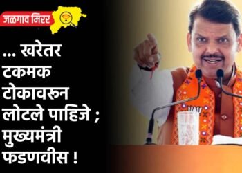 … खरेतर टकमक टोकावरून लोटले पाहिजे ; मुख्यमंत्री फडणवीस !