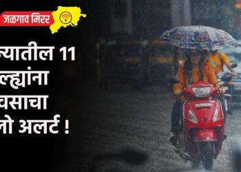राज्यातील ११ जिल्ह्यांना पावसाचा यलो अलर्ट !