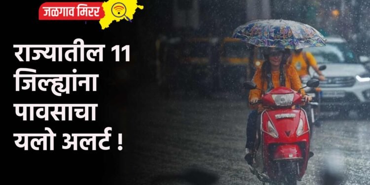 राज्यातील ११ जिल्ह्यांना पावसाचा यलो अलर्ट !