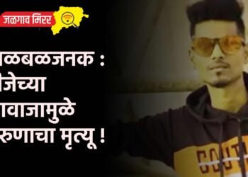 खळबळजनक : डीजेच्या आवाजामुळे तरुणाचा मृत्यू !