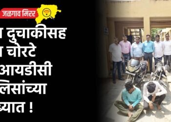 दोन दुचाकीसह दोन चोरटे एमआयडीसी पोलिसांच्या ताब्यात !