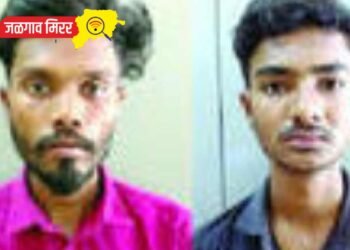 एलसीबीची कारवाई : शहरातून दुचाकी चोरणारे दोन अटकेत !