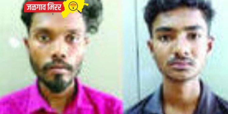 एलसीबीची कारवाई : शहरातून दुचाकी चोरणारे दोन अटकेत !