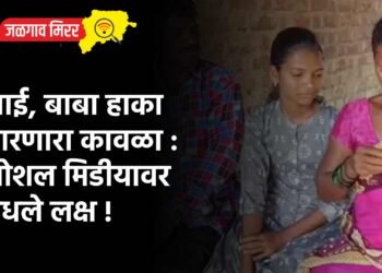 आई, बाबा हाका मारणारा कावळा : सोशल मिडीयावर वेधले लक्ष !