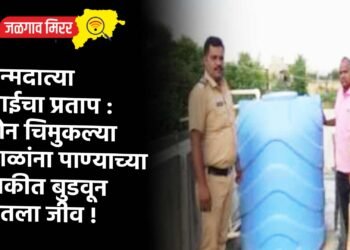 जन्मदात्या आईचा प्रताप : दोन चिमुकल्या बाळांना पाण्याच्या टाकीत बुडवून घेतला जीव !