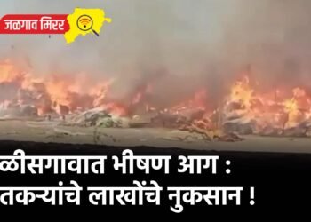 चाळीसगावात भीषण आग : शेतकऱ्यांचे लाखोंचे नुकसान !