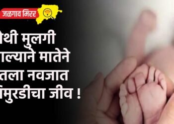 चौथी मुलगी झाल्याने मातेने घेतला नवजात चिमुरडीचा जीव !