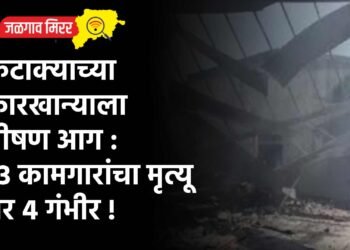 फटाक्याच्या कारखान्याला भीषण आग : १३ कामगारांचा मृत्यू तर ४ गंभीर !