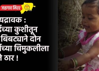 हृदयद्रावक : आईच्या कुशीतून नेत बिबट्याने दोन वर्षाच्या चिमुकलीला केले ठार !