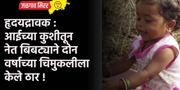 हृदयद्रावक : आईच्या कुशीतून नेत बिबट्याने दोन वर्षाच्या चिमुकलीला केले ठार !