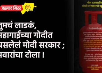 तुमचं लाडकं, महागाईच्या गोदीत बसलेलं मोदी सरकार ; पवारांचा टोला !